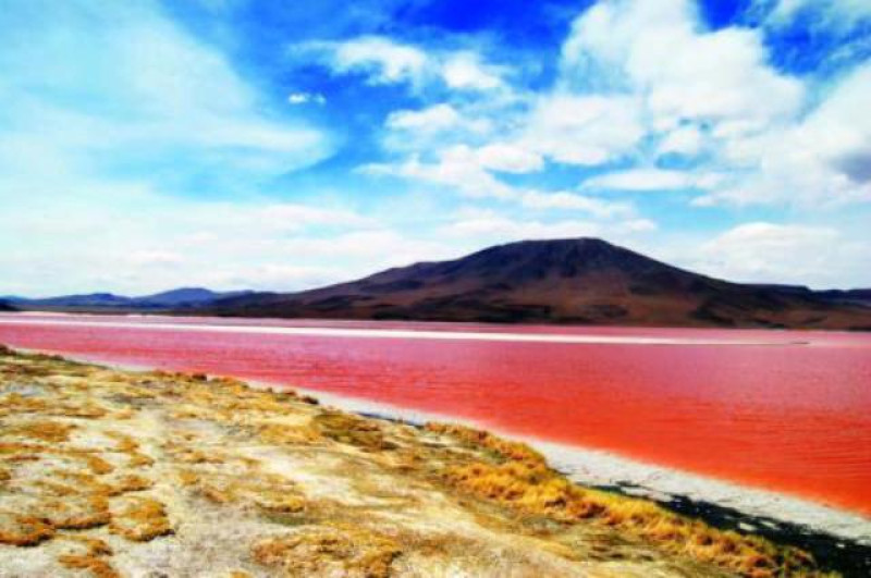 uyuni laguna colorada