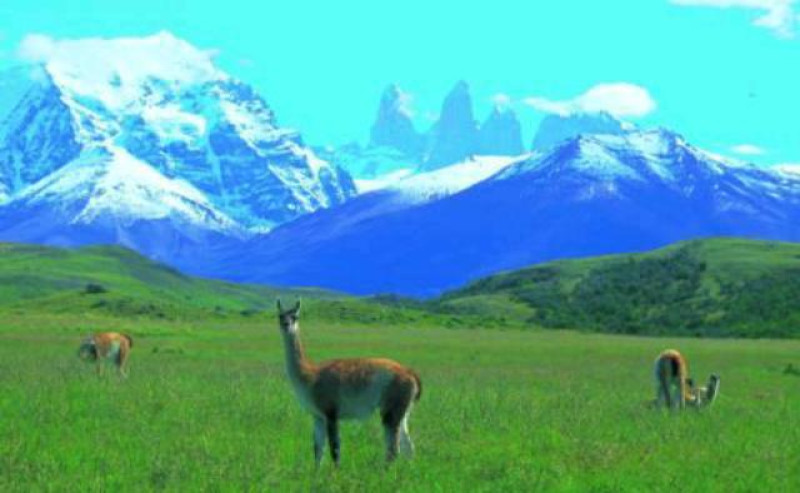 TORRES DEL PAINE
