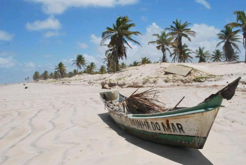 mangue seco bahia boot