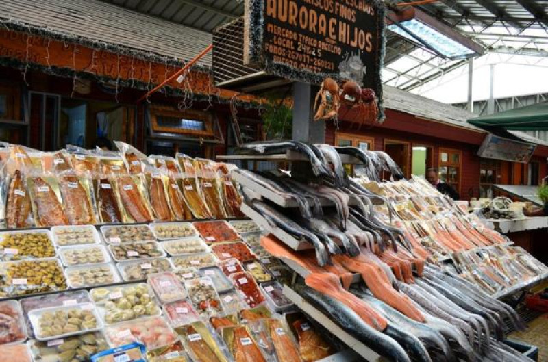 FISCHMARKT PMC