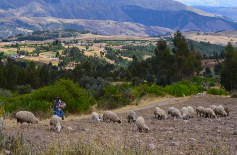 PERU MIETWAGEN COLCA LANDSCHAFT