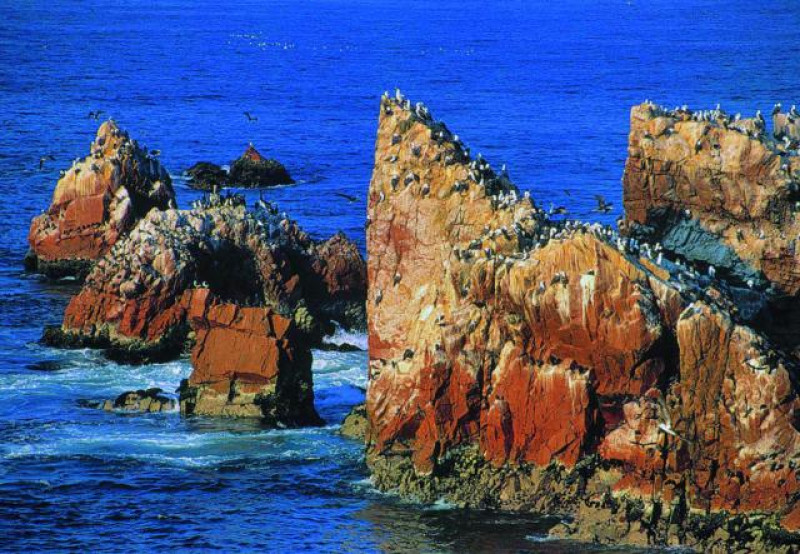 PERU PARACAS BALLESTAS INSELN AUSFLUG