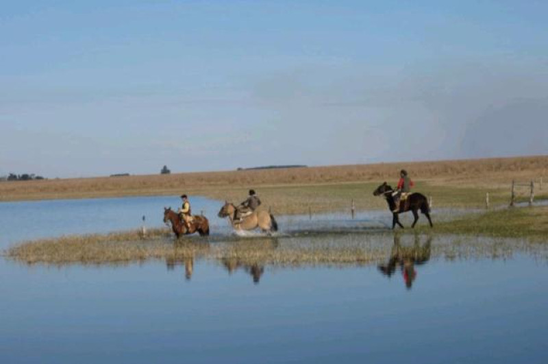 ESTANCIA ESQUINA