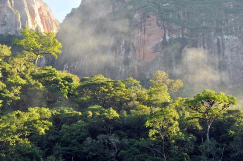 AMBORO NP