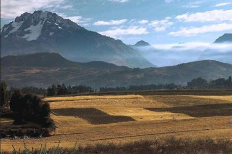 LARES